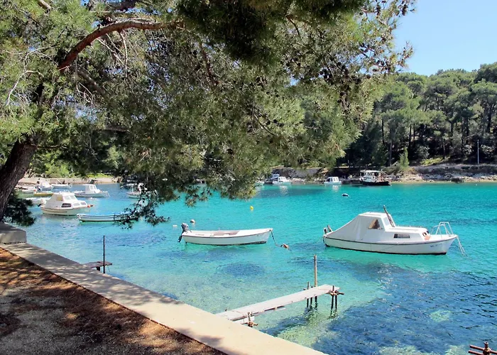 Schoene In Mit Garten By Interhome Apartment Veli Losinj